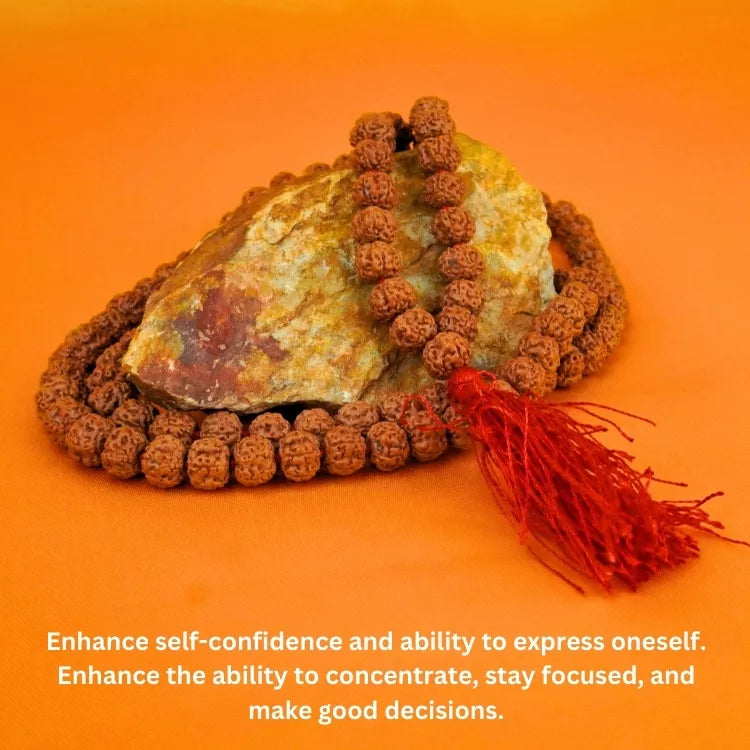 Original Rudraksha Mala (5 Mukhi Mala, 108 beads Mala)